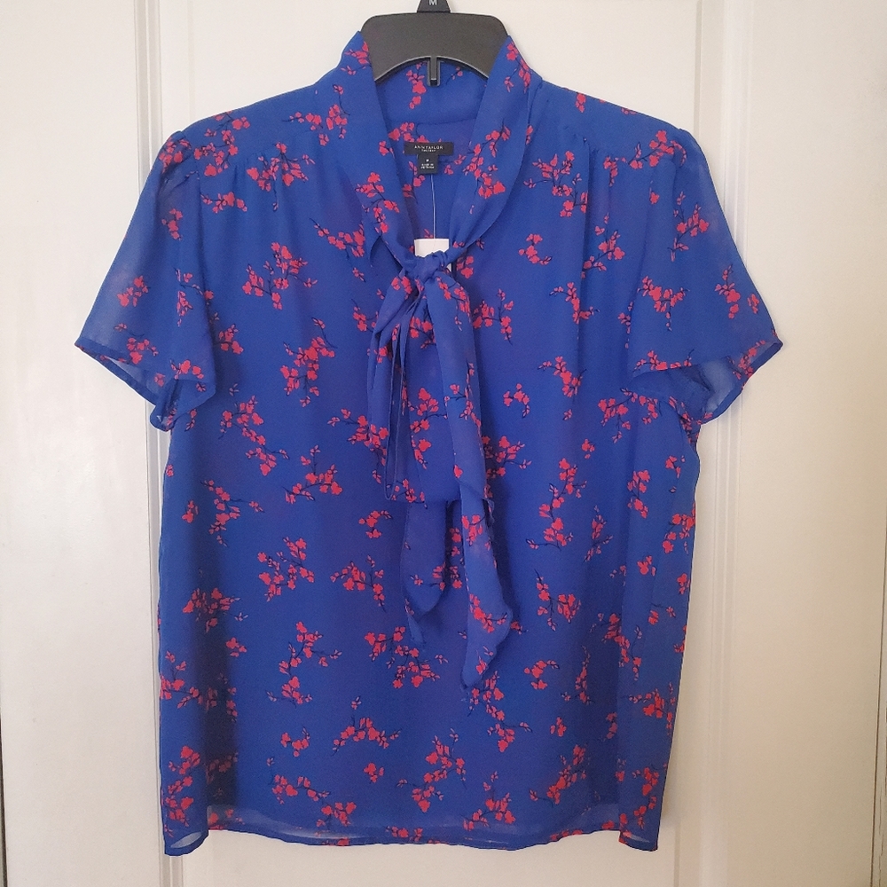NWT Annn Taylor Top